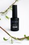 IMG_9064.PNG